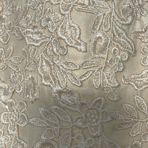 Women’s V Neck Lace Beaded Short Dress - Picture 7 of 8